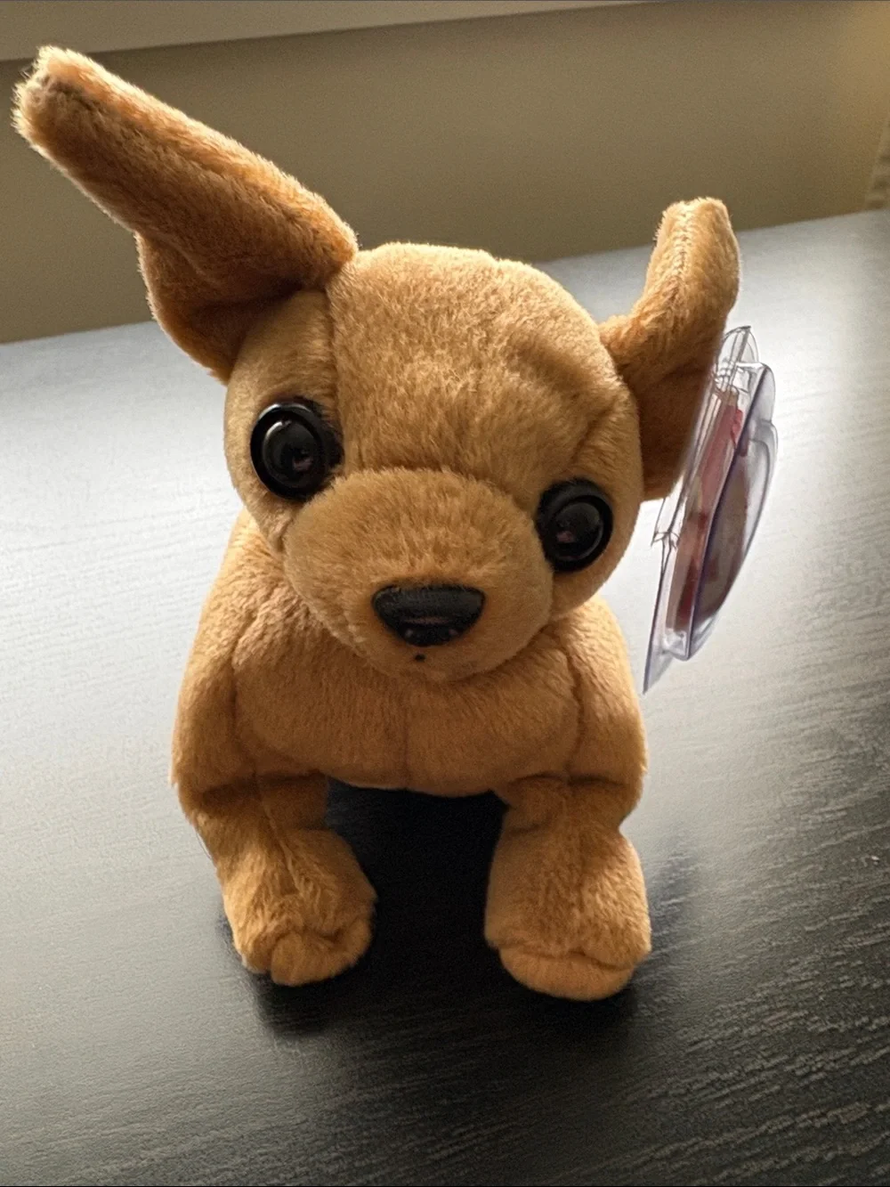 Ty Beanie Babies Plush Dog Set - Brown, Tan, White, Black